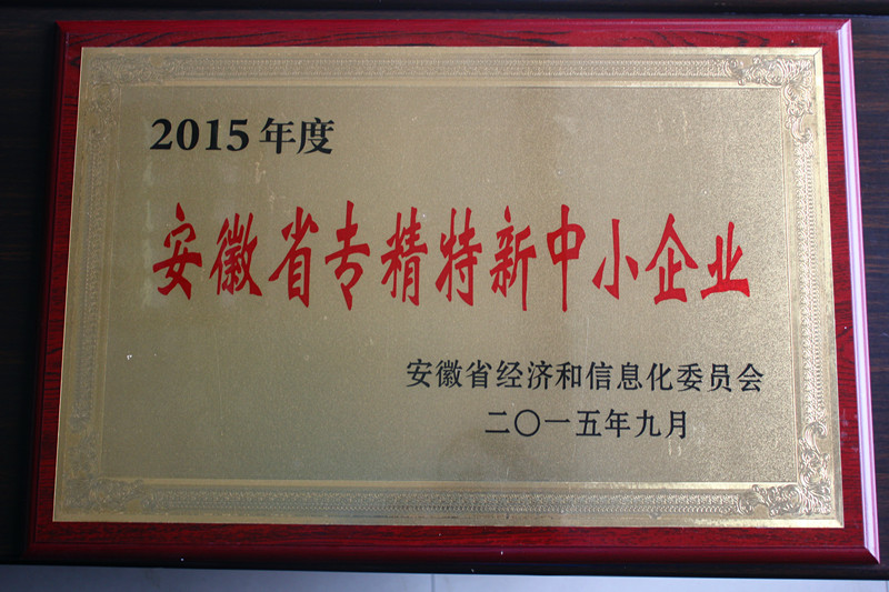 安徽省專(zhuān)精特新企業(yè)